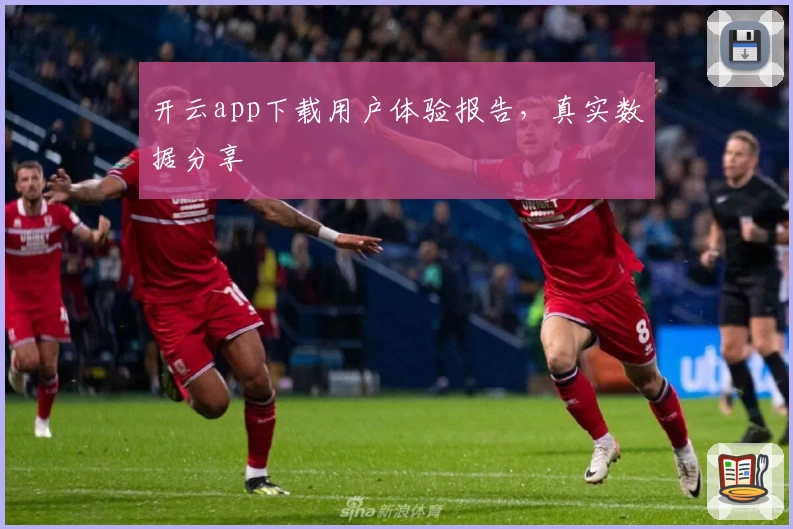 开云app下载用户体验报告，真实数据分享