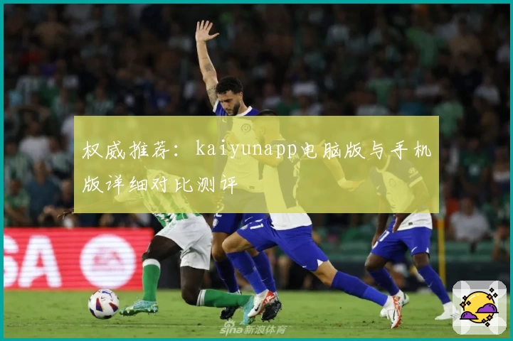 权威推荐：kaiyunapp电脑版与手机版详细对比测评